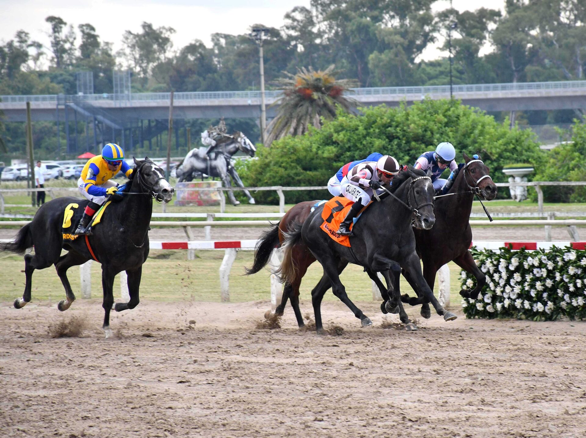 Emotion Rate, horse, Emotion Orpen, Gran Premio Montevideo, sábado, 1 de mayo de 2026, Hipódromo de Palermo. Foto: Prensa Palermo