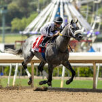 Foged Steel, horse, Vekoma, Hollywood Gold Cup Stakes, lunes, 25 de mayo de 2026, Santa Anita Park. Foto: Benoit Photo