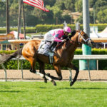 Formidable Man, Horses, City Of Light, Shoemaker Mile Stakes, lunes, 25 de mayo de 2026, Santa Anita Park. Foto: Benoit Photo