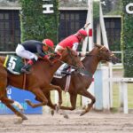 Gran Gotera, horse, Haras Gran Muñeca, Gran Premio Jorge de Atucha, sábado, 1 de mayo de 2026, Hipódromo de Palermo. Foto: Prensa Palermo