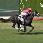 Gran Oriente, horses, Classic Empire, Mr. Steele Stakes, sábado, 16 de mayo de 2026, Gulsftream Park. Foto: Coglianese Photo & Ryan Thompson