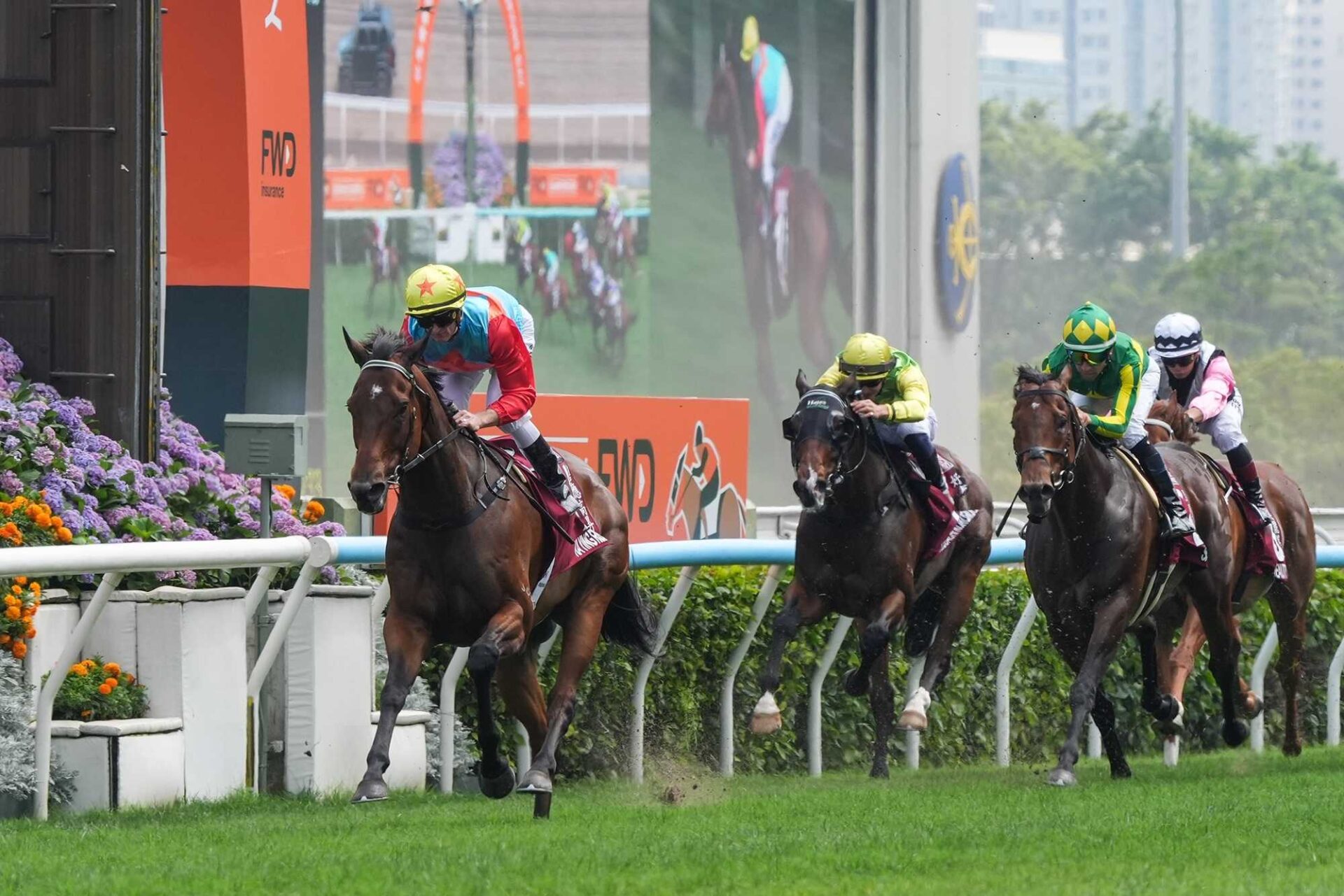 Ka Ying Rising (NZ), horse, Shamexpress, Chairman’s Sprint Prize, 26 de abril de 2026, Sha Tin-Hong Kong. Foto: HKJC & IFHA