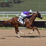 Mogul, horse, Classic Empire, Allowance Optional Claiming, viernes, 29 de mayo de 2026, Gulsftream Park. Foto: Coglianese Photo &Ryan Thompson