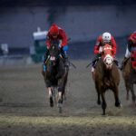 Romanaya, horses, Cuadra San Jorge, Clásico Letruska, Hipódromo de Las Américas, sábado, 9 de mayo de 2026. Foto: Miguel Ángel Espinoza