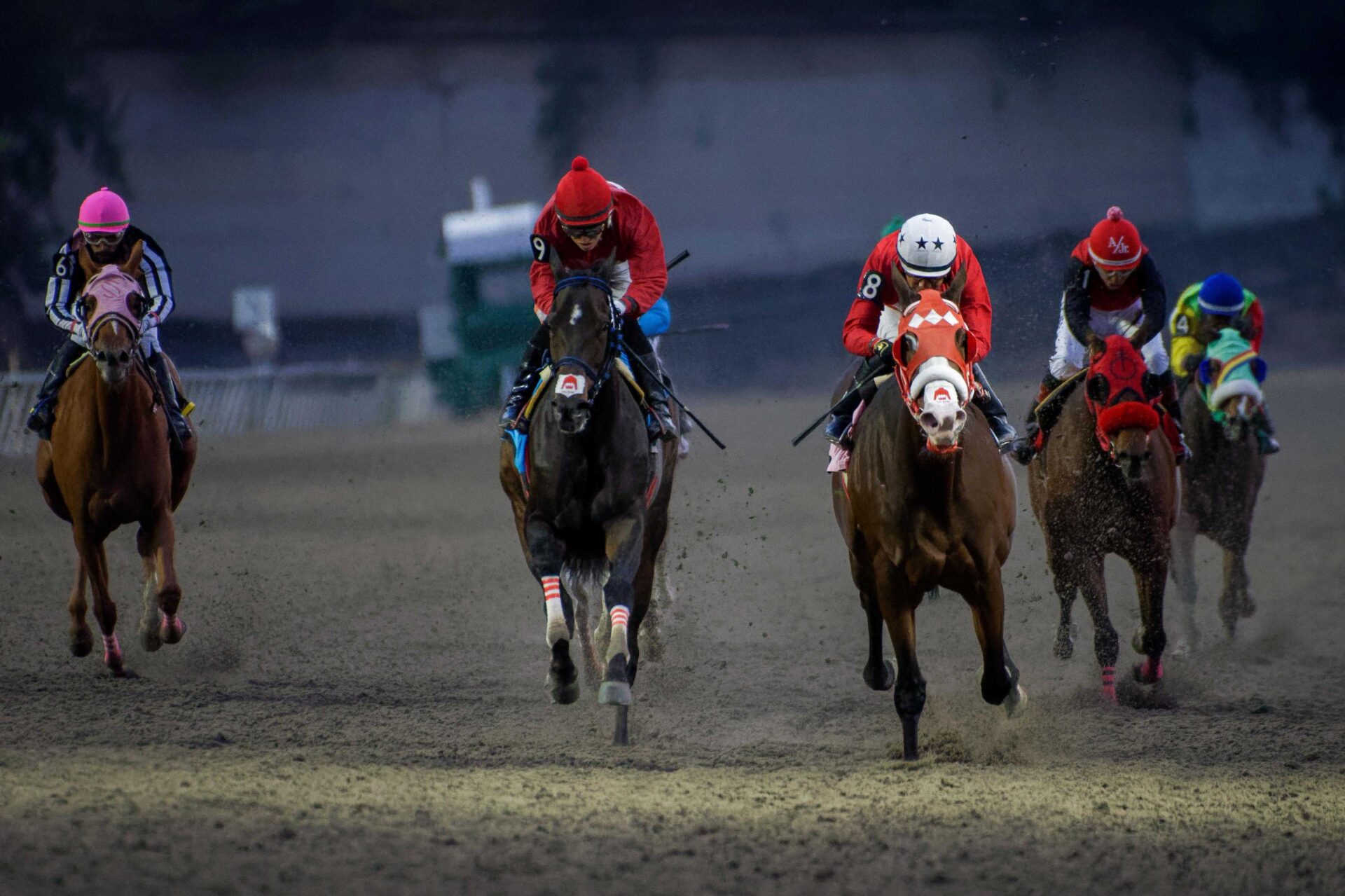 Romanaya, horses, Cuadra San Jorge, Clásico Letruska, Hipódromo de Las Américas, sábado, 9 de mayo de 2026. Foto: Miguel Ángel Espinoza