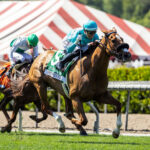 Thought Process, Horses, Collected, Gamely Stakes, lunes, 25 de mayo de 2026, Santa Anita Park. Foto: Benoit Photo