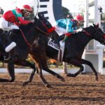 Bahía Pérdida, horse, Haras Paso Nevado, Clásico Tanteo de Potrancas, sábado, 27 de junio de 2026, Hipódromo Chile. Foto: Jaime Cortés