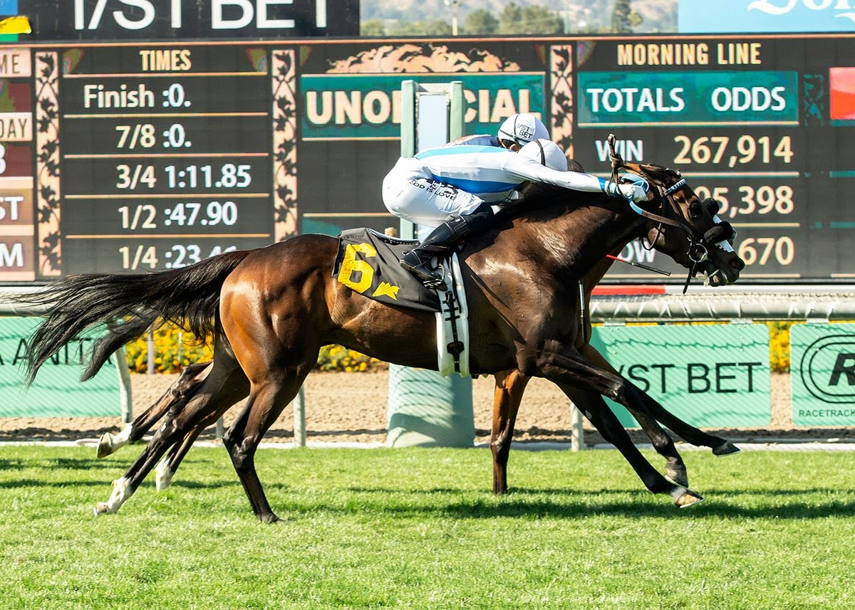 Darya, horses, Persian King, Honeymoon Stakes, sábado, 6 de junio de 2026, Santa Anita Park. Foto: Benoit Photo