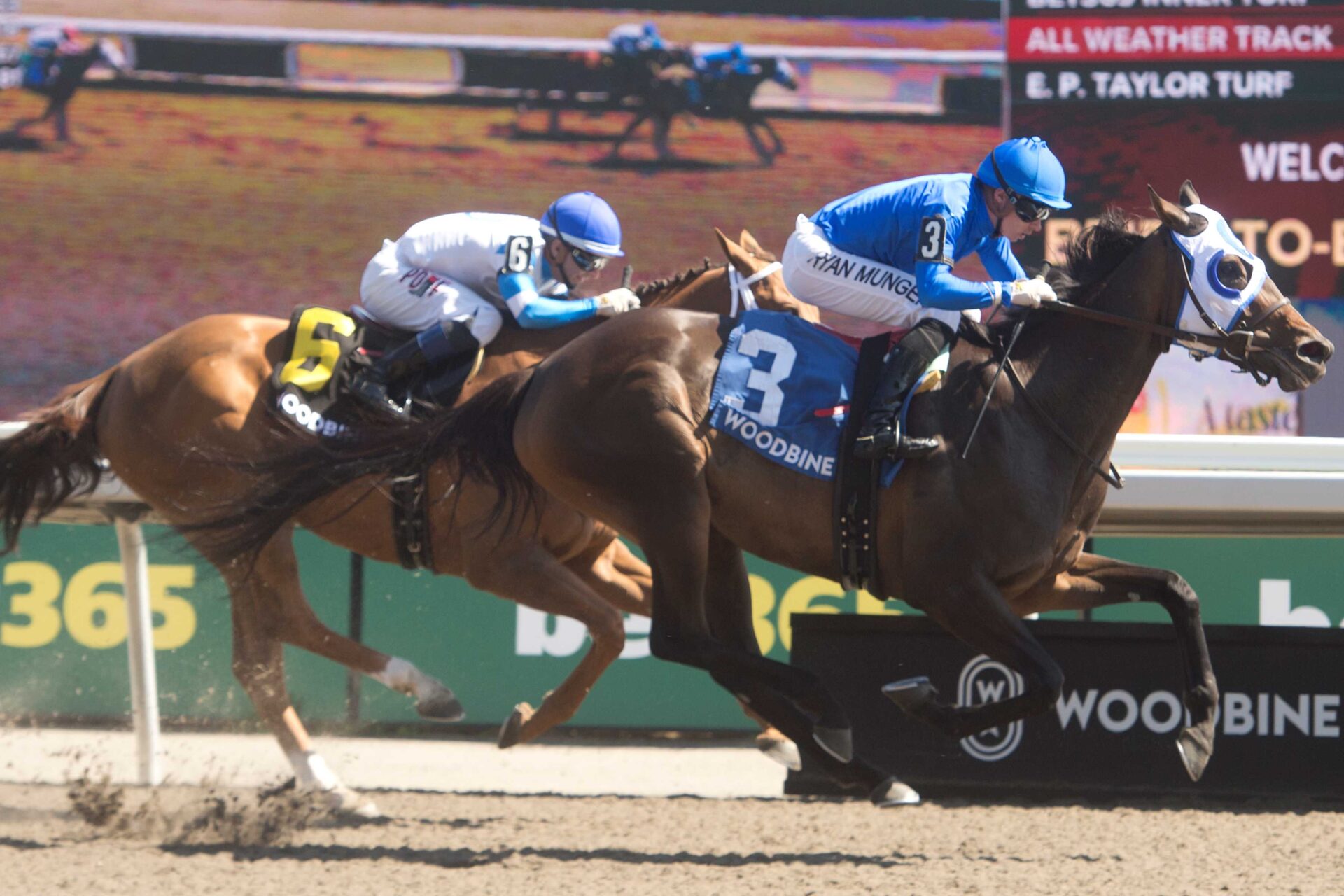 Deloraine, horse, Candy Ride, Belle Mahone Stakes, sábado, 30 de mayo de 2026, Woodbine. Michael Burns Photography & Woodbine