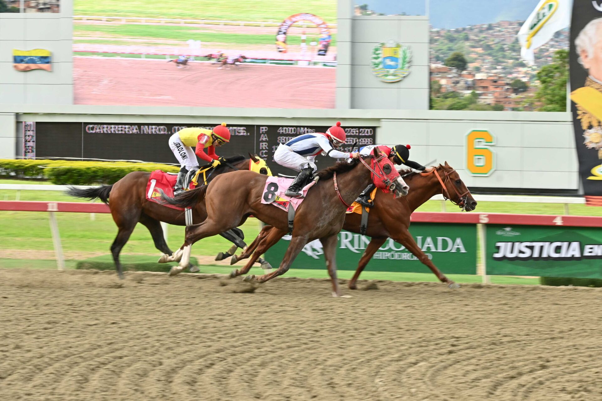 Forrest Gump, horse, Champalin, Clásico Ejército, domingo, 14 de junio de 2026, La Rinconada. Foto: José Antonio Aray