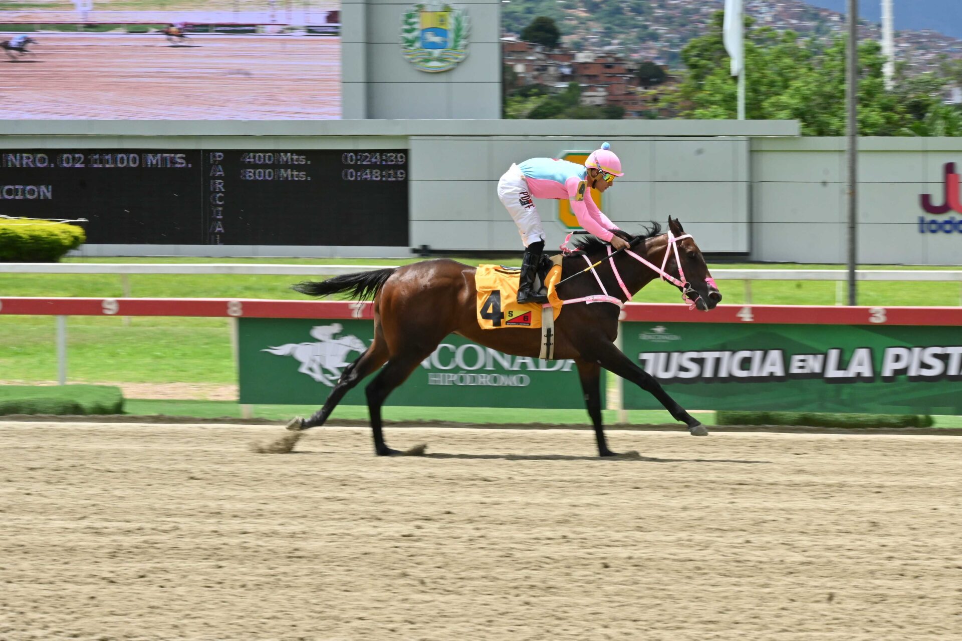 Gran Manuel, horse, World Of Trouble, Clásico El Corsario, domingo, 21 de junio de 2026, La Rinconada. Foto: José Antonio Aray