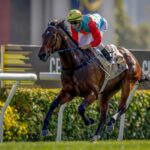 Ka Ying Rising (NZ), horse, Shamexpress, Centenary Sprint Cup, 25 de enero de 2026, Sha Tin-Hong Kong. Foto: HKJC & IFHA