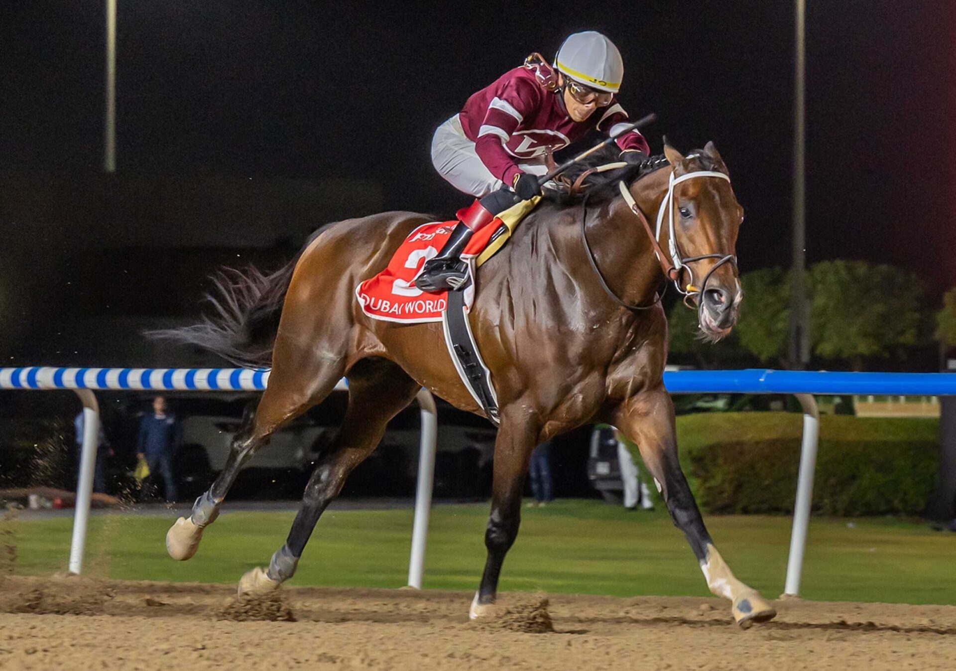 Magnitude, horses, No This Time, Dubai World Cup, Meydan Racecourse, sábado, 28 de marzo de 2026. Foto: Racingfotos.com