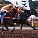 Peatres, horse, Haras Porta Pía, Clásico Tanteo de Potrillos, sábado, 27 de junio de 2026, Hipódromo Chile. Foto: Jaime Cortés
