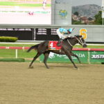 Pontevecchio, horse, Haras La Orlyana, Clásico José Antonio Páez, domingo, 14 de junio de 2026, La Rinconada. Foto: José Antonio Aray