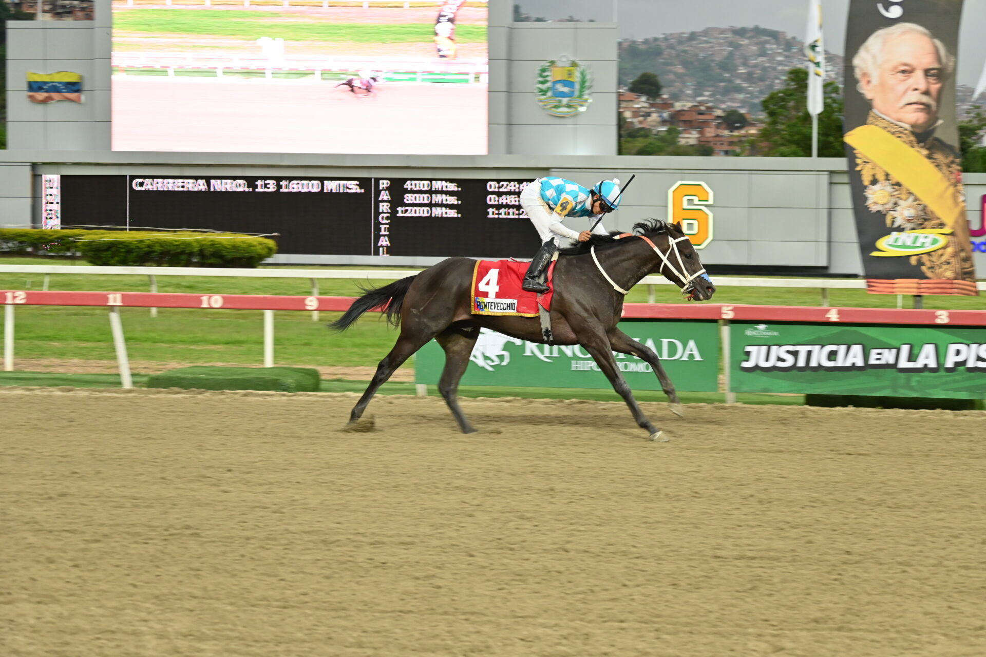 Pontevecchio, horse, Haras La Orlyana, Clásico José Antonio Páez, domingo, 14 de junio de 2026, La Rinconada. Foto: José Antonio Aray
