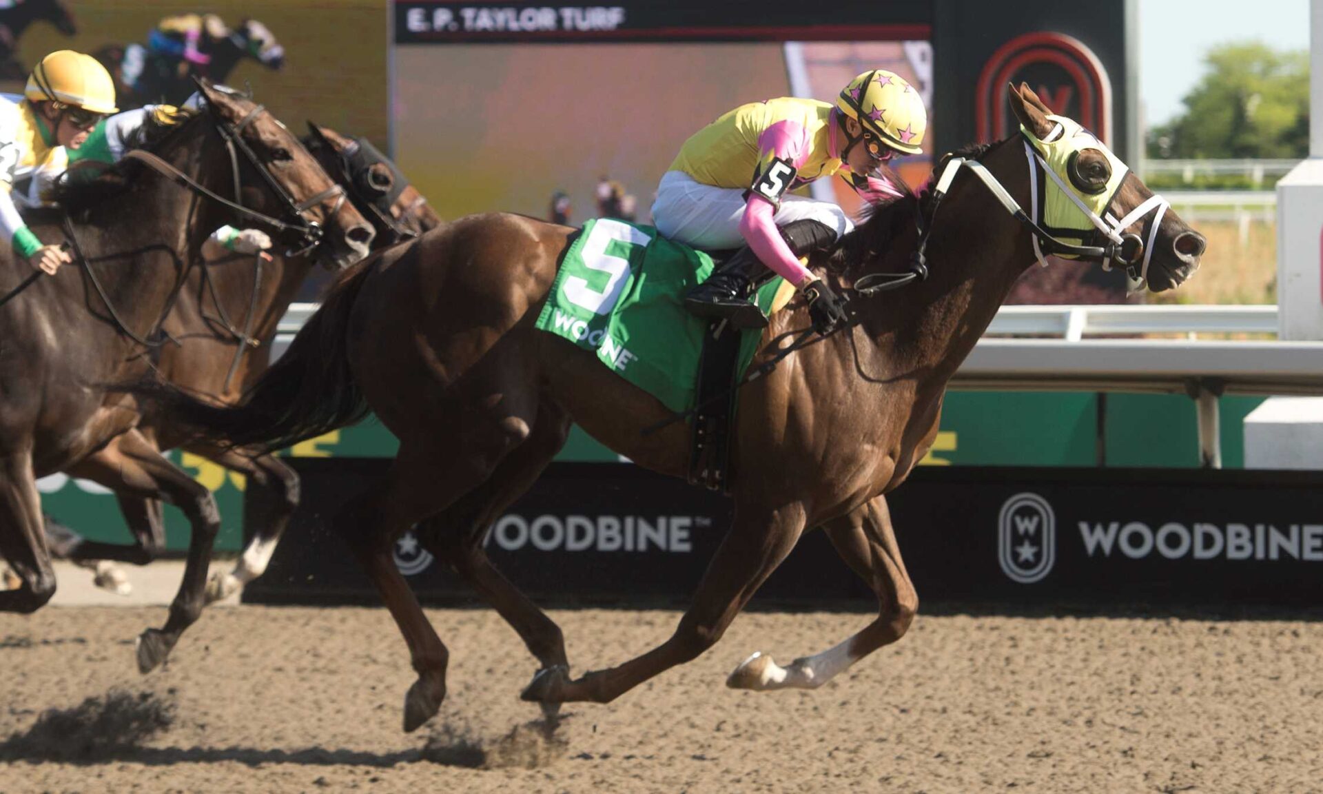 Possiblemente, horse, Charles Fipke, Jacques Cartier Stakes, sábado, 30 de mayo de 2026, Woodbine. Michael Burns Photography & Woodbine