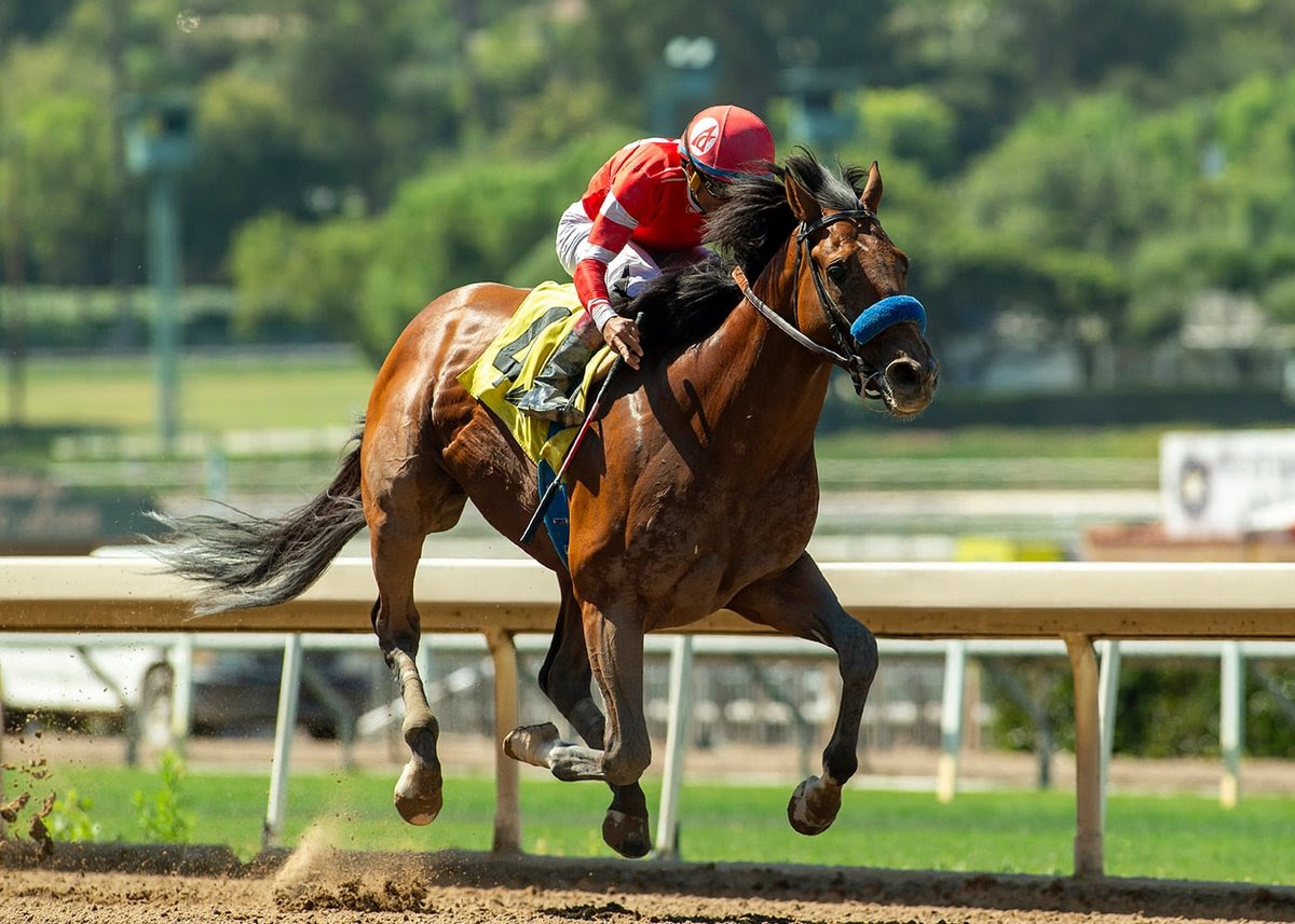 Secured Freedom, Horses, Practical Joke, Affirmed Stakes, lunes, 15 de junio de 2026, Santa Anita Park. Foto: Benoit Photo