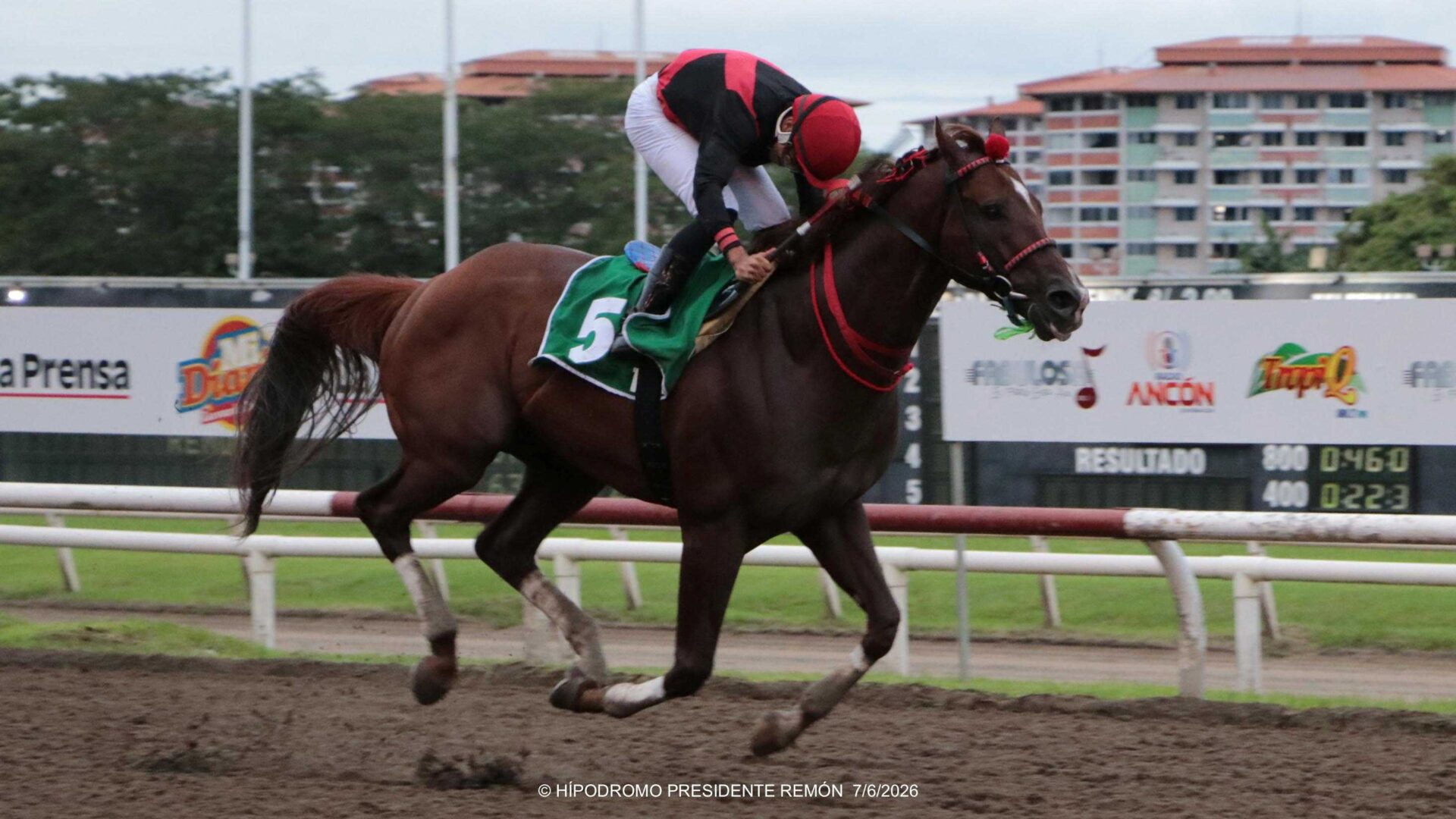 Takao, horse, Brandywine Farm, Clásico Presidente de la República, domingo, 7 de junio de 2026, Presidente Remón. Foto: Erick Ruiz Prensa CODERE Panamá