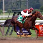 Bernardini, horse, A.P. Indy, Travers Stakes, sábado, 26 de agosto de 2006, Saratoga. Foto: Coglaniese Photo