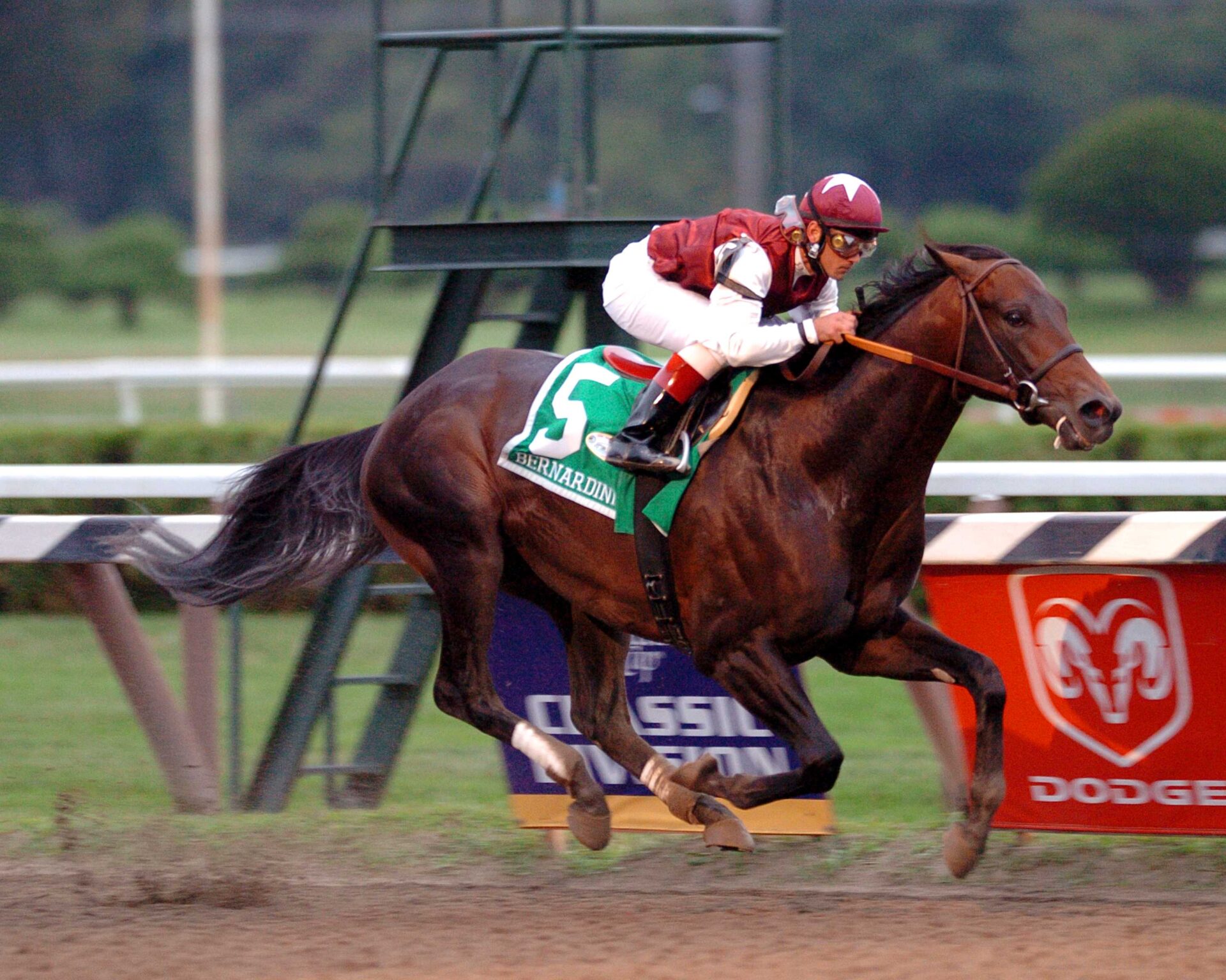 Bernardini, horse, A.P. Indy, Travers Stakes, sábado, 26 de agosto de 2006, Saratoga. Foto: Coglaniese Photo