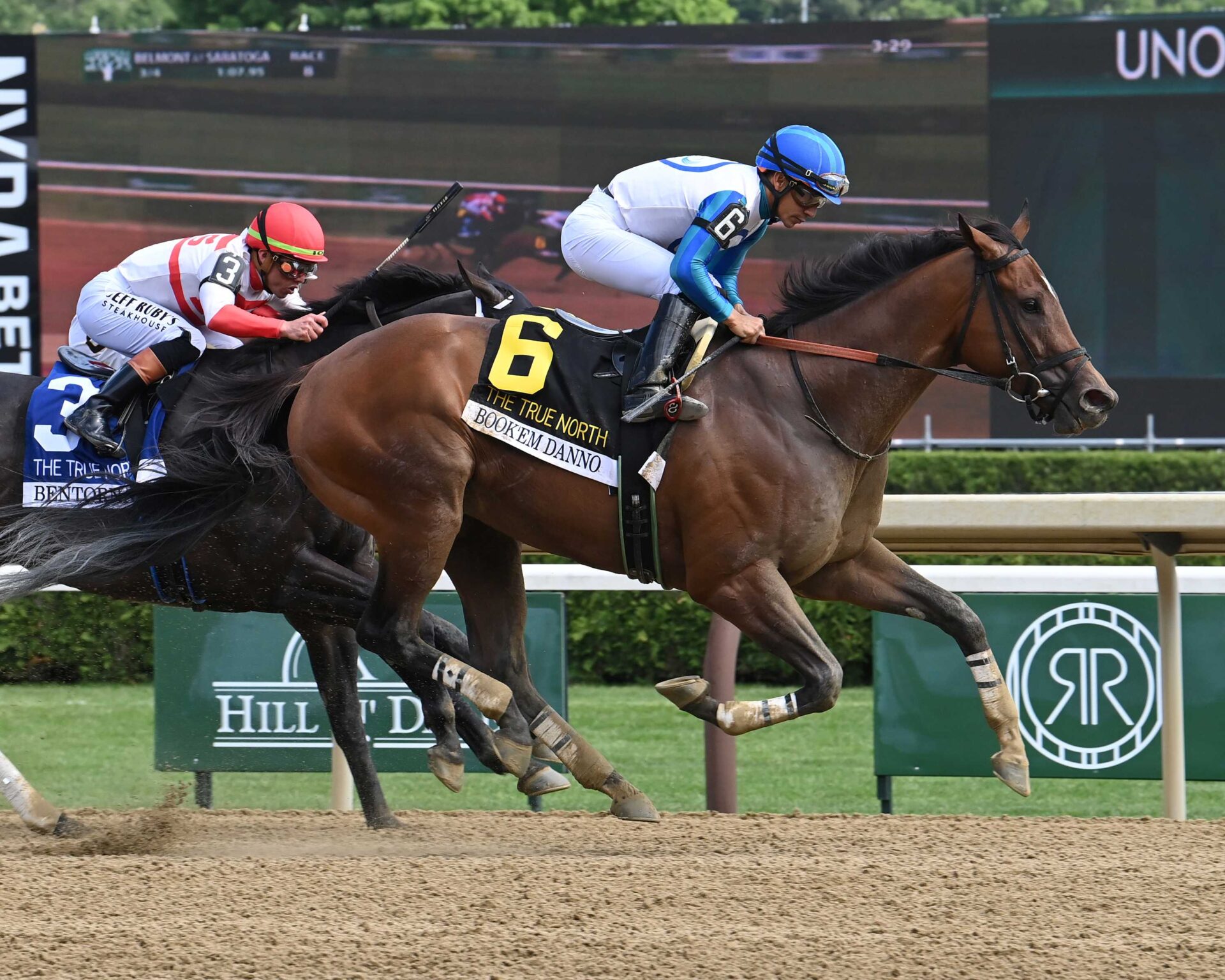 Bookém Danno, horses, Bright View Farm, True North Stakes, sábado, 6 de junio de 2026, Saratoga. Foto: Coglianese Photo & Susie Raisher
