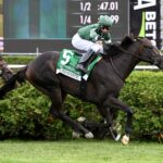 Deterministic, horse, Hinkle Farms, Manhattan Stakes, sábado, 6 de junio de 2026, Saratoga. Foto: Coglaniese Photo & Susie Raisher