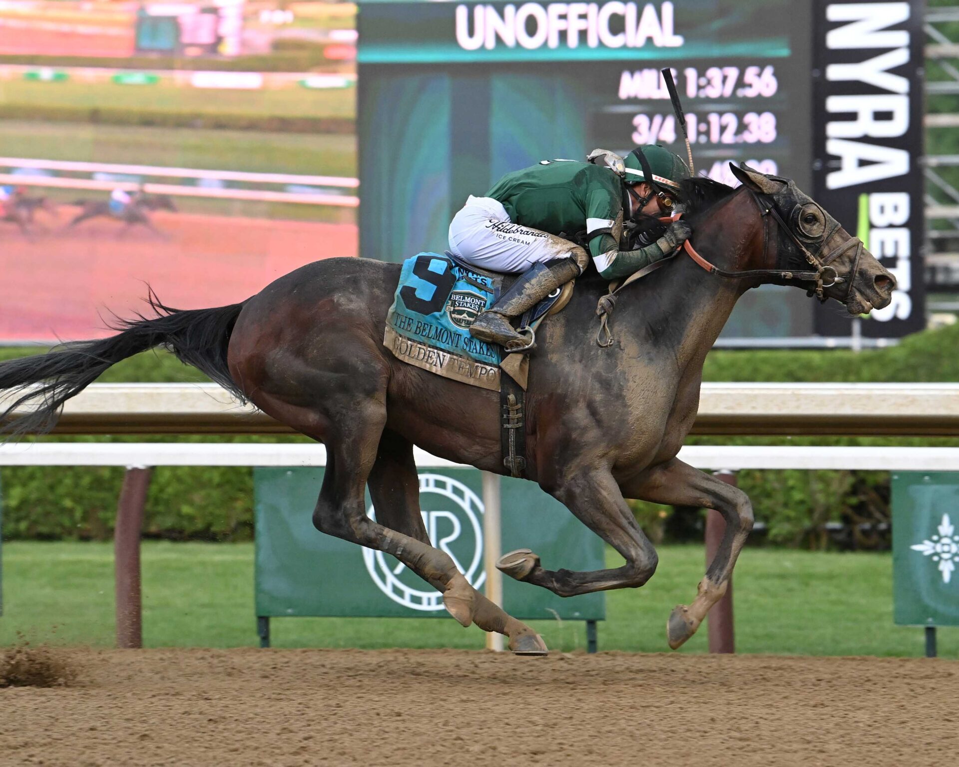 Golden Tempo, horse, Curlin, Belmont Stakes, sábado, 6 de junio de 2026, Saratoga. Foto: Coglaniese Photo & Susie Raisher