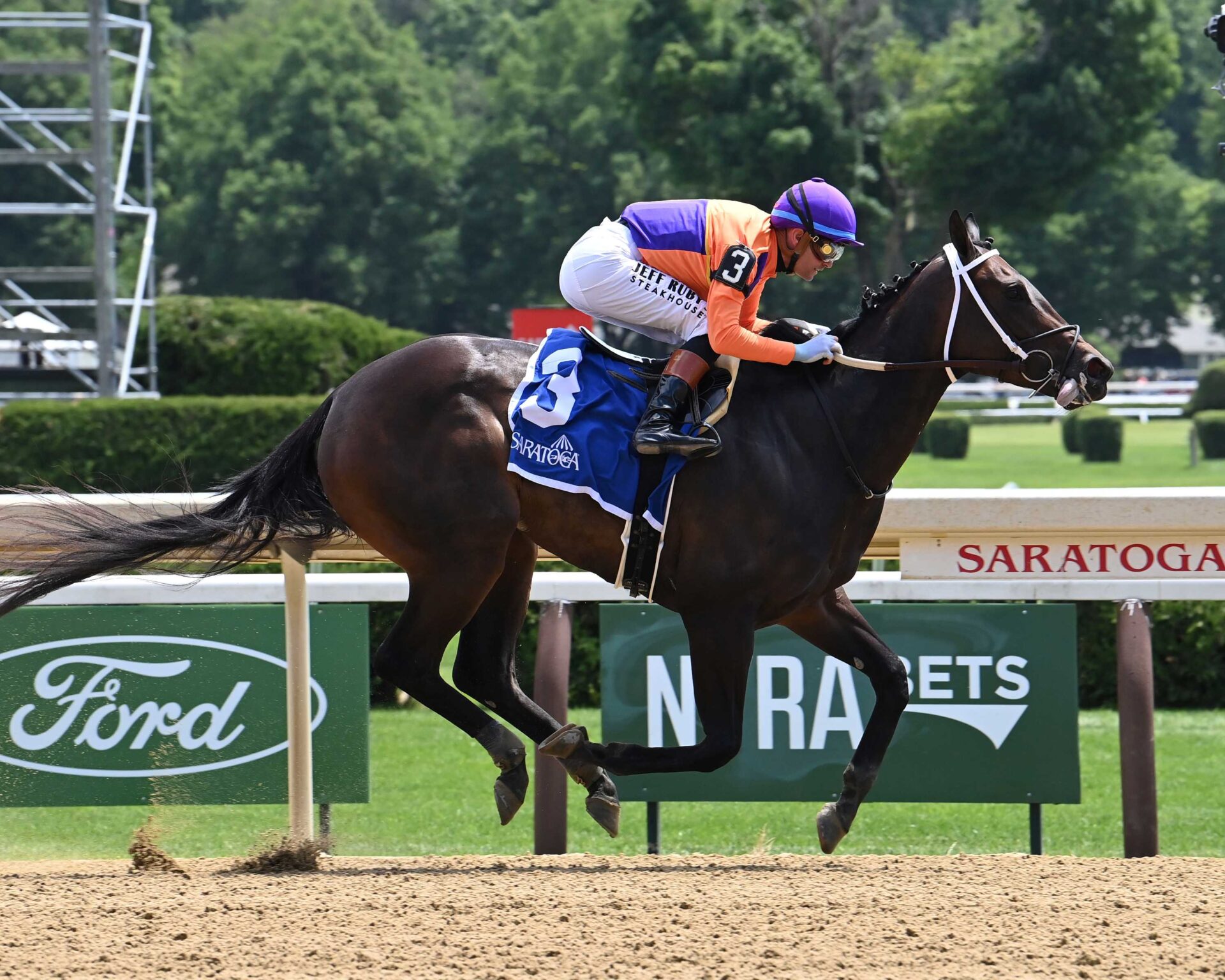 Goodall, horses, Spendthrift Farm, Jersey Girl Stakes, jueves, 4 de junio de 2026, Saratoga. Foto: Coglianese Photo & Susie Raisher