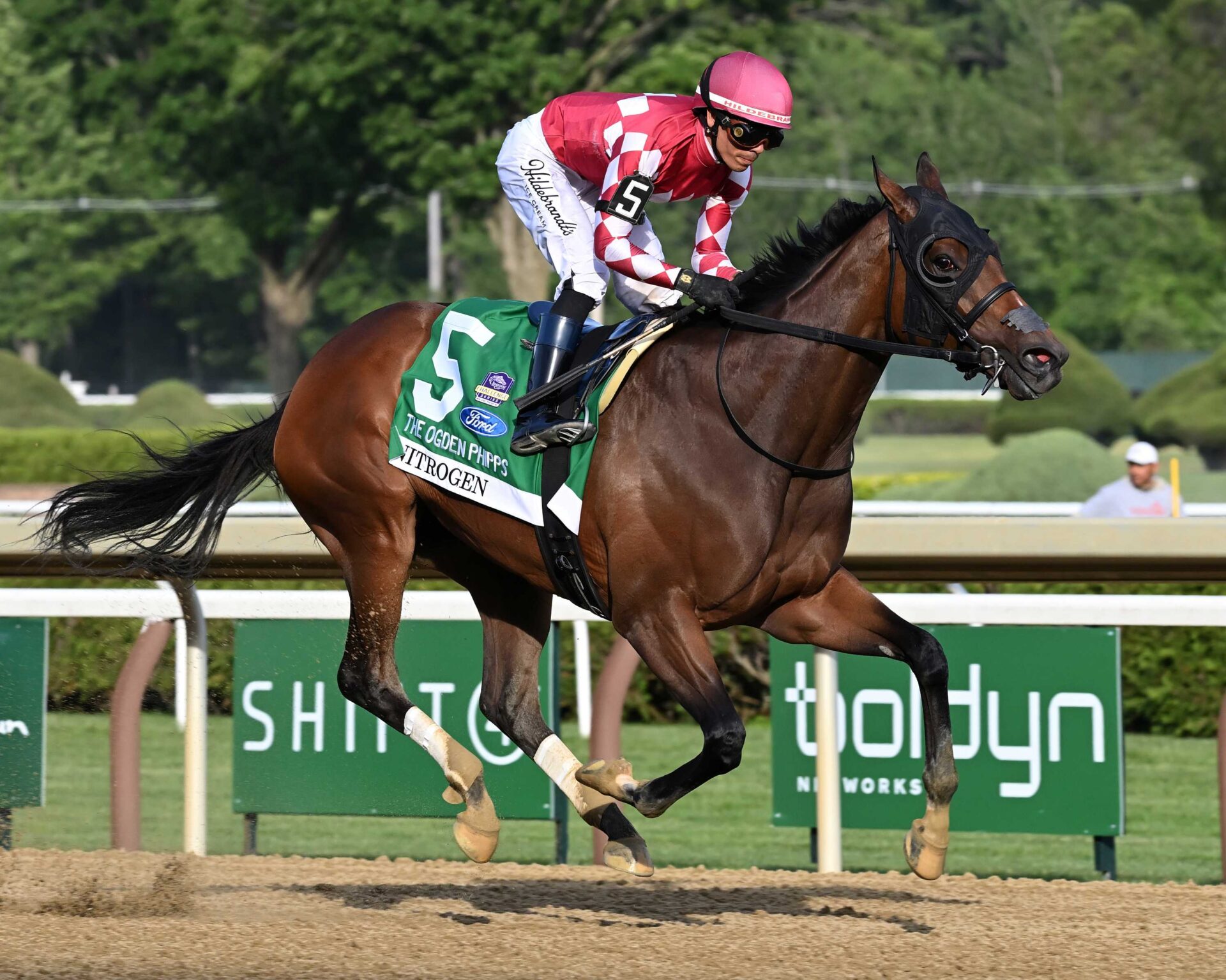 Nitrogen, horse, D. J. Stable LLC, Ogden Phipps Stakes, viernes, 5 de junio de 2026, Saratoga. Foto: Coglianese Photo & Susie Raisher