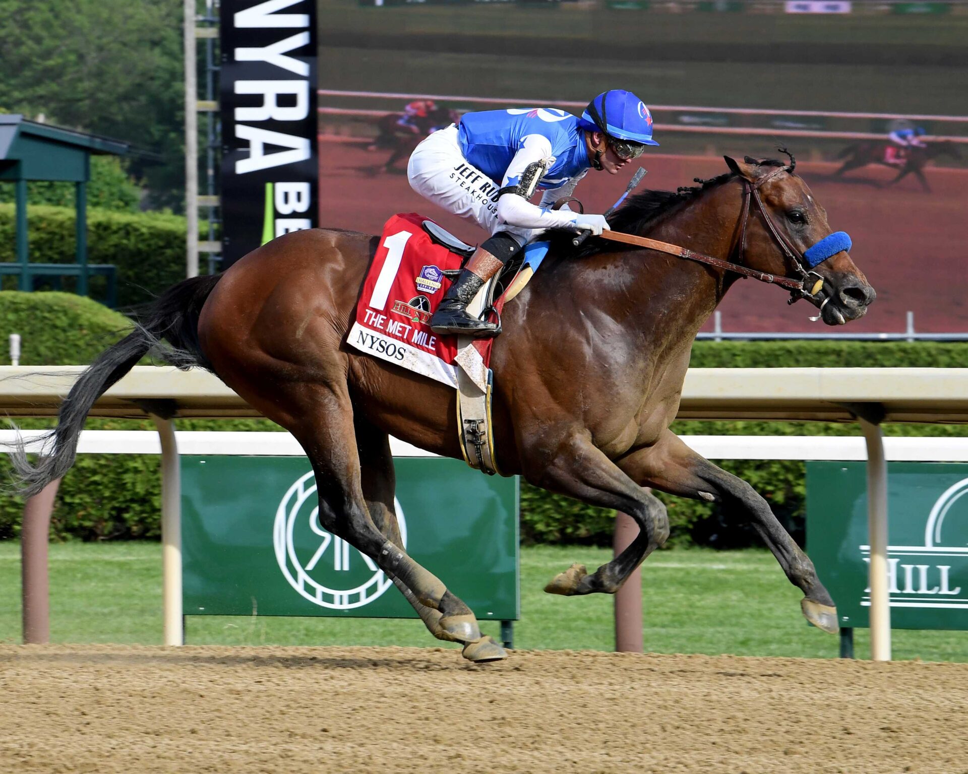 Nysos, horse, Nyquist, Hill ´N´Dale Metropolitan Hándicap, sábado, 6 de junio de 2026, Saratoga. Foto: Coglianese Photo & Janet Napolitano