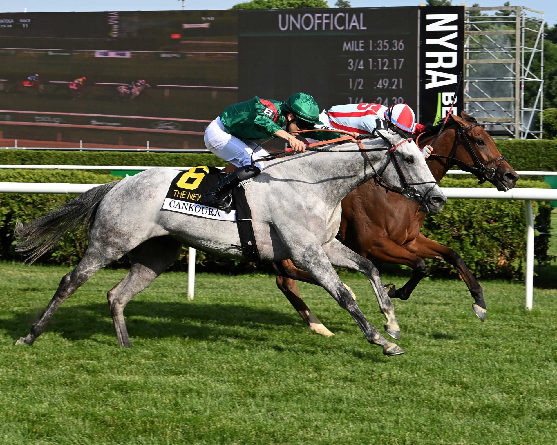 Portfolio Duration, horses, Klaravich Stables, New York Stakes, viernes, 5 de junio de 2026, Saratoga. Foto: Coglianese Photo & Susie Raisher