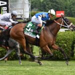 Reef Runner, Horses, The Big Beast, Jaipur Stakes, sábado, 6 de junio de 2026, Saratoga. Foto: Coglianese Photo & Susie Raisher