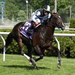 Roja, horses, Karakontie, Intercontinental Stakes, jueves, 4 de junio de 2026, Saratoga. Foto: Coglianese Photo & Susie Raisher