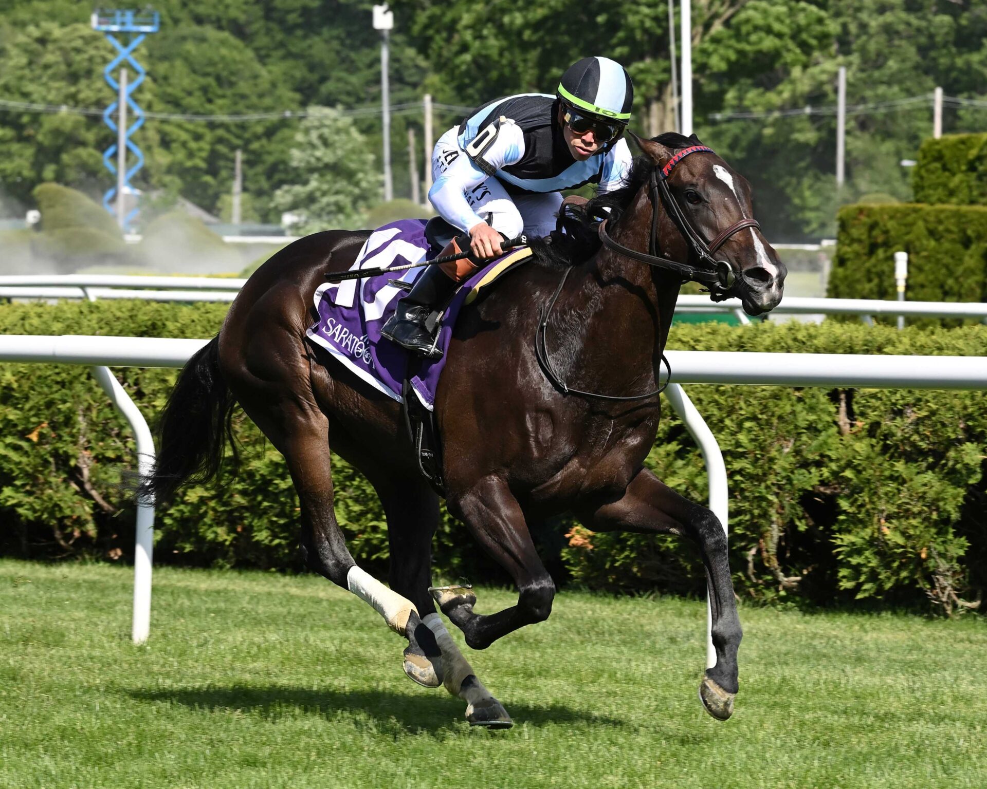 Roja, horses, Karakontie, Intercontinental Stakes, jueves, 4 de junio de 2026, Saratoga. Foto: Coglianese Photo & Susie Raisher