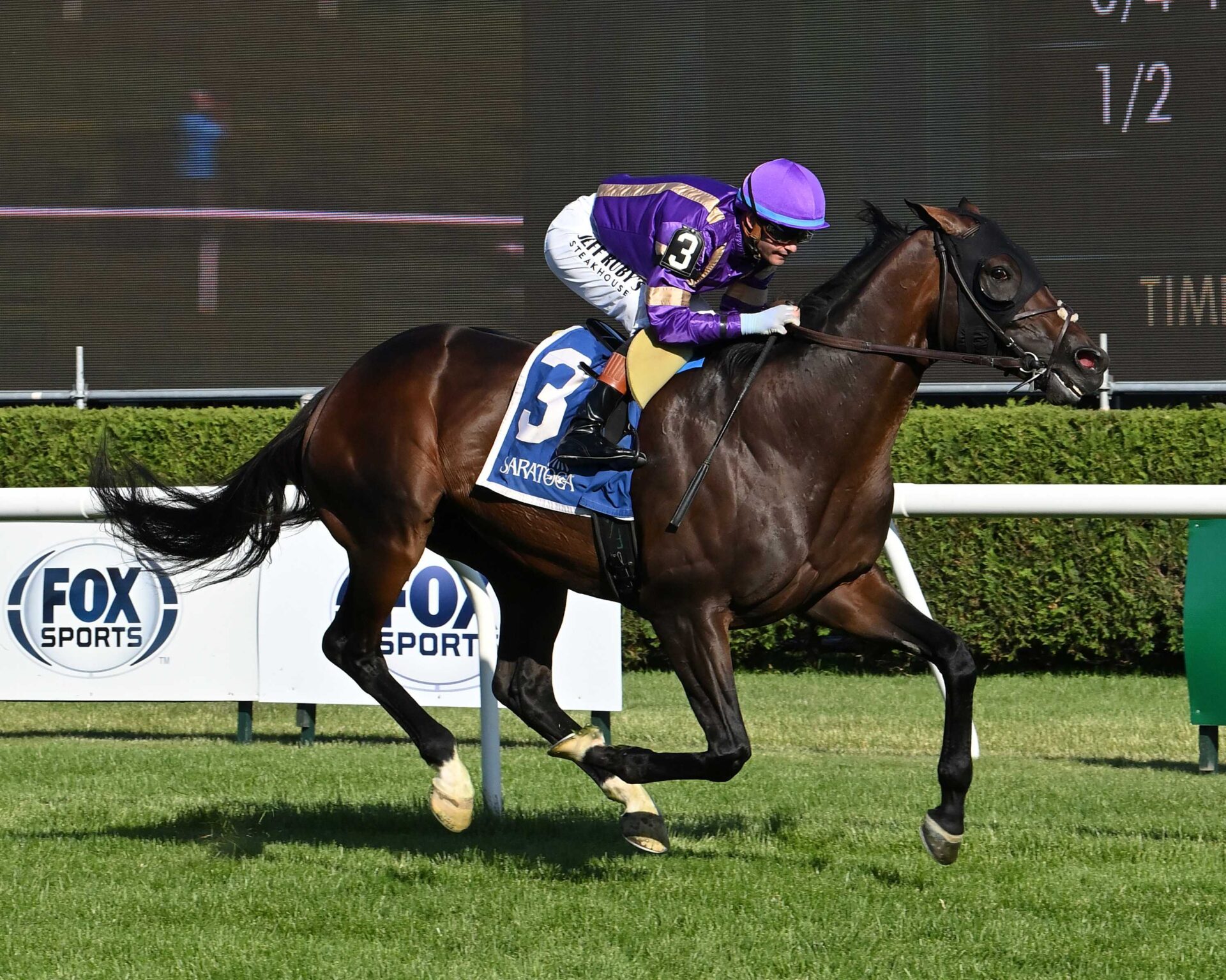 Tawny Port, horses, Pioneerof The Nile, Belmont Gold Cup Stakes, jueves, 4 de junio de 2026, Saratoga. Foto: Coglianese Photo & Susie Raisher