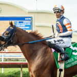 Gold Phoenix, Horses, Belardo, Eddie Read Stakes, domingo, 26 de julio de 2026, Del Mar Racing. Foto: Benoit Photo