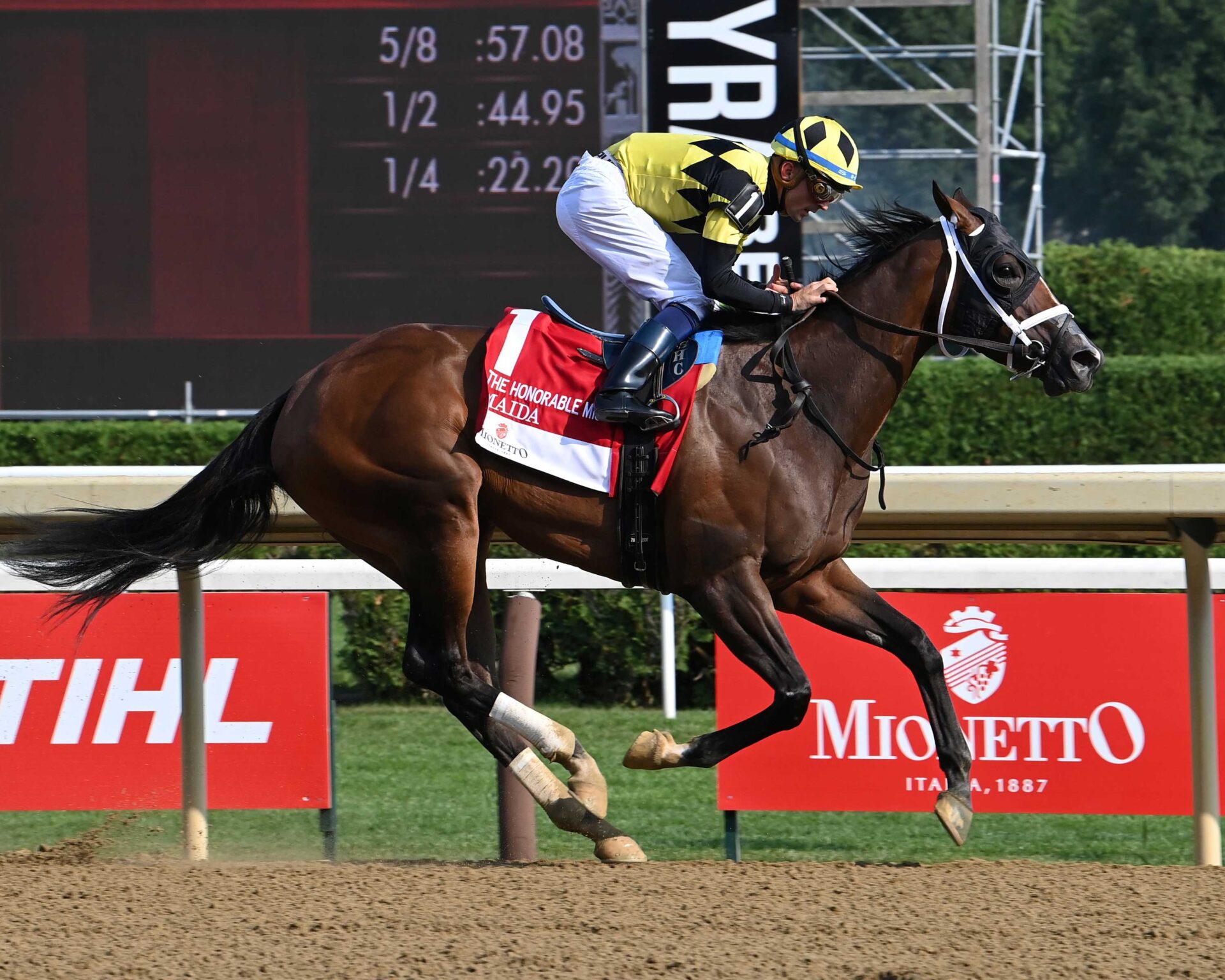 Maida, horse, Improbable, Honorable Miss Hándicap, domingo, 26 de julio de 2026, Saratoga. Foto: Coglaniese Photo & Chelsea Durand