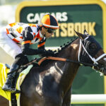 Proletariat, Horses, Raging Bull, Caesars Sportsbook Oceanside Stakes, viernes, 17 de julio de 2026, Del Mar. Foto: Benoit Photo