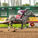Sweet Azteca, Horses, Pamela C. Ziebarth, Great Lady M Stakes, sábado, 4 de julio de 2024, Los Alamitos. Foto: Benoit Photo