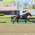 Tuscan Gold, horse, Stonestreet Thoroughbred Holdings, Clásico FAN, domingo, 19 de julio de 2026, La Rinconada. Foto: José Antonio Aray