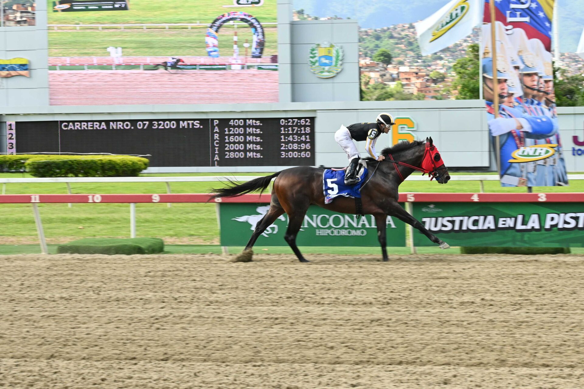Tuscan Gold, horse, Stonestreet Thoroughbred Holdings, Clásico FAN, domingo, 19 de julio de 2026, La Rinconada. Foto: José Antonio Aray