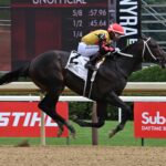 Booked, horse, Yaupon, Sanford Stakes, sábado, 4 de julio de 2026, Saratoga. Foto: Coglaniese Photo & Susie Raisher