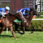 Chummers, horse, Combatant, Rick Violette Stakes, viernes, 24 de julio de 2026, Saratoga. Foto: Coglaniese Photo & Susie Raisher