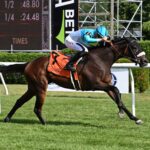 Cosmic Candy Girl, horse, Twirling Candy, Suzie O´Cain Stakes, jueves, 23 de julio de 2026, Saratoga. Foto: Coglaniese Photo & Susie Raisher
