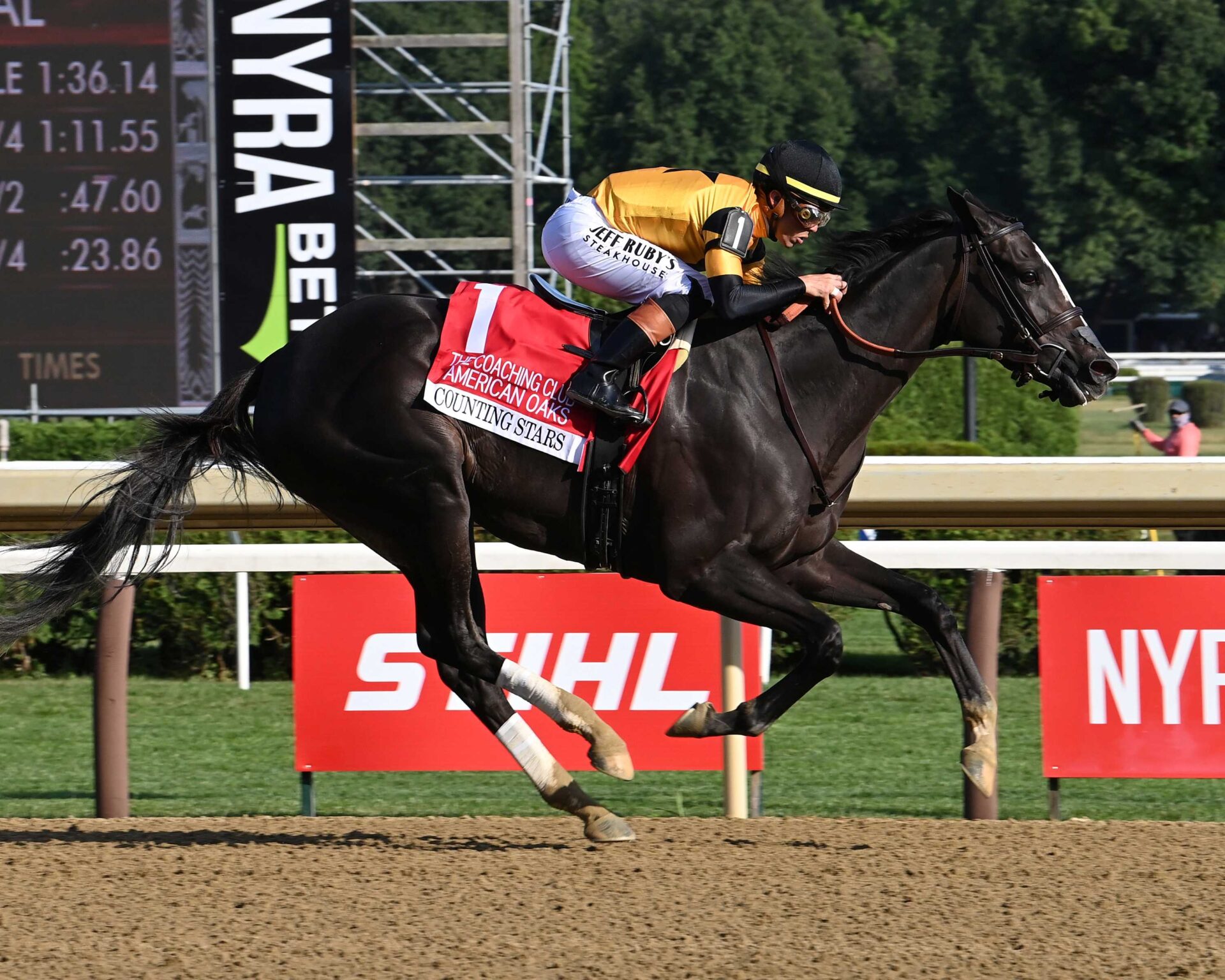 Counting Stars, horse, Honor A. P., Coaching Club American Oaks, sábado, 25 de julio de 2026, Saratoga. Foto: Coglaniese Photo & Susie Raisher