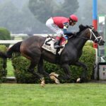 Cy Fair, Horses, Not This Time, Coronation Cup Stakes, sábado, 18 de julio de 2026, Saratoga. Foto: Coglianese Photo & Susie Raisher