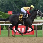 Harper´s Corner, horse, Speaker´s Corner, Schuylerville Stakes, viernes, 3 de julio de 2026, Saratoga. Foto: Coglaniese Photo & Susie Raisher