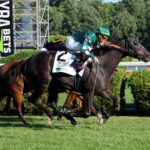 Learntodiscover, horses, Havana Grey, Quick Call Stakes, domingo, 19 de julio de 2026, Saratoga. Foto: Coglianese Photo & Susie Raisher