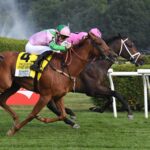 Ole Crazy Bone, horse, Adena Springs, Bowling Green Stakes, sábado, 11 de julio de 2026, Saratoga. Foto: Coglaniese Photo & Susie Raisher